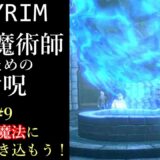 【ゆっくり解説】Skyrim 破壊魔法 #9 範囲魔法と従者の併用について【スカイリム】