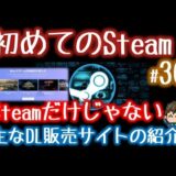 DiscordStore、TwitchPrime、Origin、GOG、Humble Monthlyあなたはどれがお好み？【初めてのSteam#36】