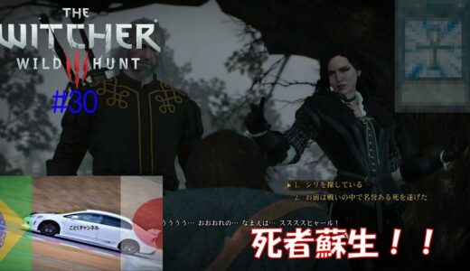 【THE WITCHER 3 WILD HUNT】 #30   死者蘇生！【ウイッチャー3】