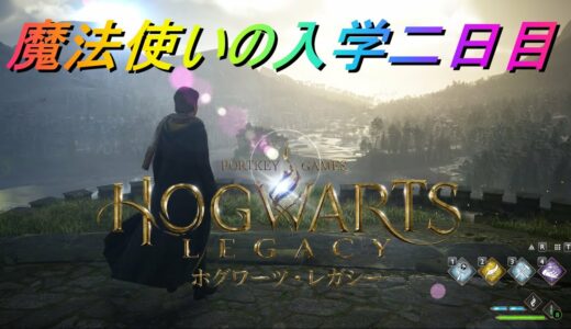 [話題の最新ゲーム]一緒にどんどんミッションをクリアしていこう！【Hogwarts Legacy】#2