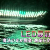 【LEDでサンマ漁】LED最前線　魔法の光が農業・漁業を変える | ガリレオX 第41回