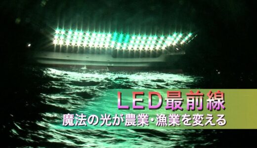 【LEDでサンマ漁】LED最前線　魔法の光が農業・漁業を変える | ガリレオX 第41回