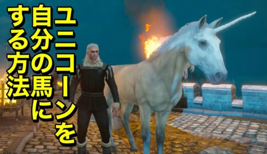 ウィッチャー3 自分の馬をユニコーンにする方法(ニューゲームプラスから超簡単)