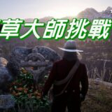 【和我一起拿獎盃】【碧血狂殺2】100%完成度【藥草大師挑戰】