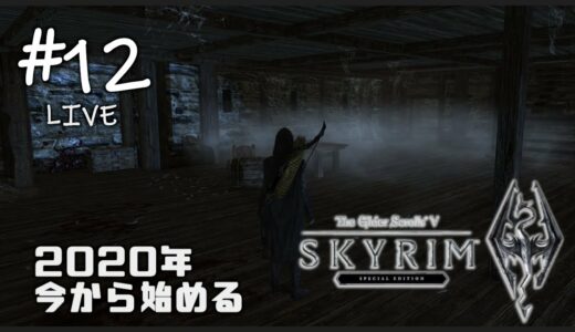 【Skyrim SE】今から始める初見スカイリム ＃12　【闇の一党】