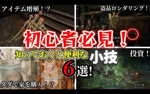 初心者必見！知っておくと便利な小技６選！【SKYRIM 解説】