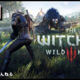 【Switch】WITCHER3をプレイしていく！