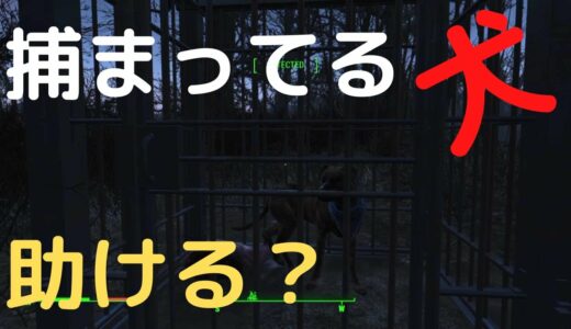 【フォールアウト４】犬を助けたらエレノアという商人と出会った【トレーダー】