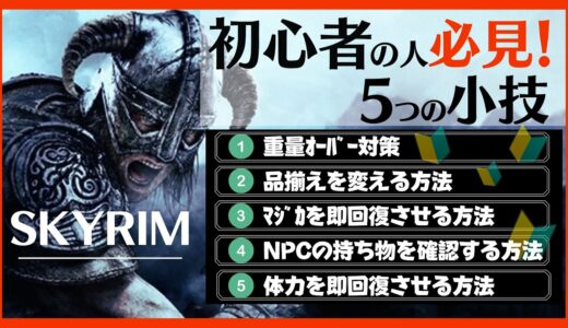 【PS4版スカイリム】初心者の方必見！5つの小技を解説！