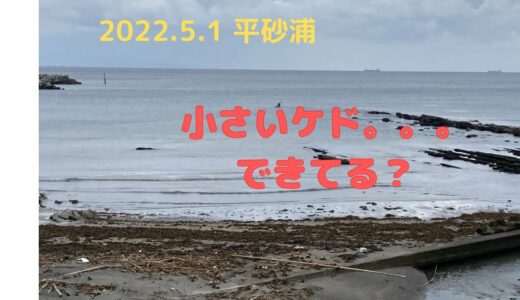 5／1 平砂浦波情報