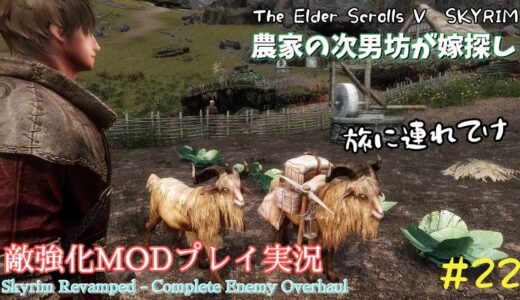 【スカイリムSE】#22　敵強化MOD＆縛りで魔法使いプレイ。結婚もしたい！ 【ゆっくり実況】