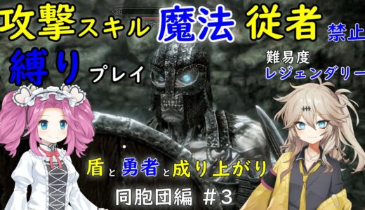 【スカイリム】攻撃スキル・魔法・付呪縛りで難易度レジェンダリー！始まる前から詰んでいる？！　盾と勇者と成り上がり　＃3