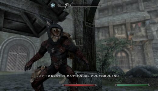 サバイバリム録35(闇の一党編)【The Elder Scrolls V: Skyrim】