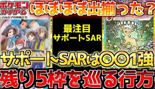 【ポケカ】テラスタルフェス気になるサポートSARの行方!!今回想像以上に少ない？？【ポケモンカード最新情報】Pokemon Cards