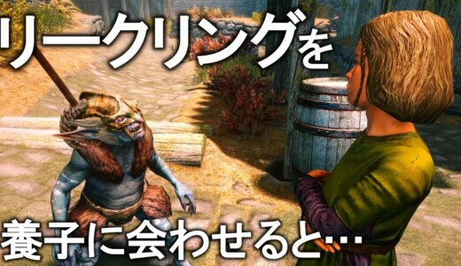 スカイリム小ネタ&見逃してるかもしれない要素まとめ DLCドラゴンボーン編 Part3