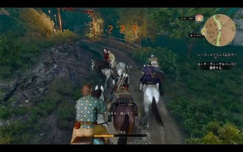 ウィッチャー3　おもしろ出来事・バグ集　The Witcher 3 Bug