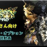 [冒険狂の解説]　フリプ民歓迎、新人さん向け冒険の手引き　[ドラゴンズクラウンプロ]