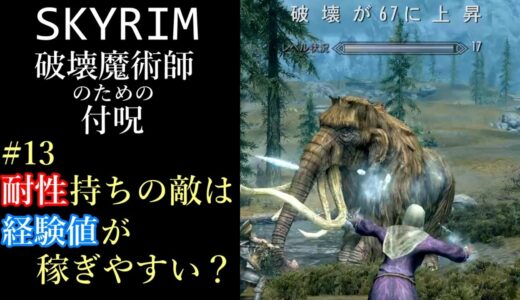 【ゆっくり解説】Skyrim 破壊魔法 #13 耐性持ちの敵は経験値が稼ぎやすい？【スカイリム】