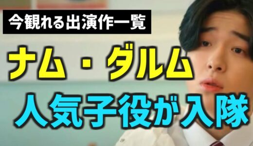 【今観れる】超人気子役ナム・ダルム入隊【韓国ドラマ・映画 出演作一覧】あらすじと配信情報、BS放送もあるよ