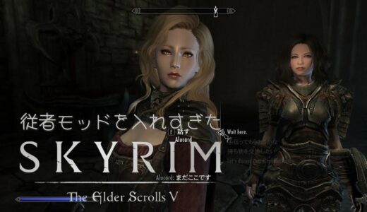 【SKYRIM】従者MODを入れすぎたスカイリムpart5