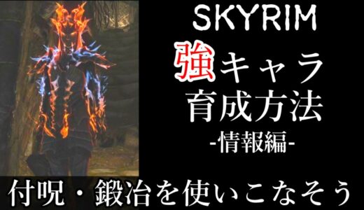 【スカイリム】 付呪・鍛冶を使いこなして今日キャラを育てる - 情報編 - 【Skyrim】