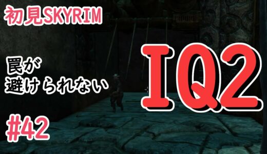 【初見】#42 従者のIQが低いようです【skyrim/スカイリム】