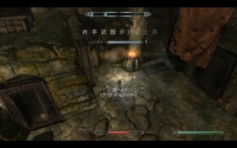 スカイリム小ネタ　透明化するドラウグル　Skyrim_20161122011820