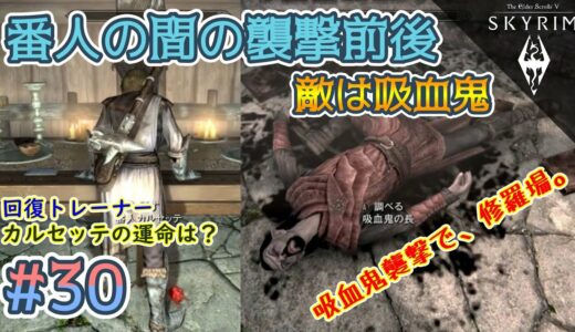 【TES5スカイリムSE/AE # 30】戦士・魔術師ドヴァキンの道～番人の間、吸血鬼襲撃前後～【The Elder Scrolls V: Skyrim／Steam／ノーマル／MOD／字幕プレイ動画】