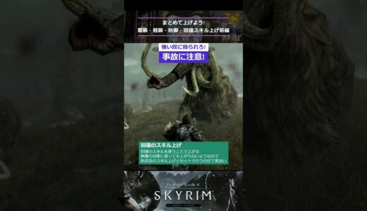 【Skyrim】まとめて上げよう!重装・軽装・防御・回復スキル上げ前編#shorts#レベル上げ#スキル上げ#重装#防御#回復