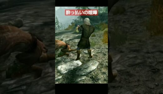 【スカイリム】バックドロップを決める酔っ払いさん【Skyrim 】