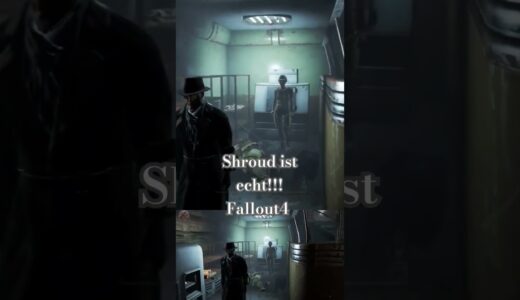 Shroud ist echt! Silver Shroud, Fallout4