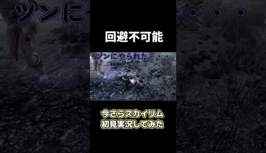 【スカイリム】回避不可能【初見実況】#shorts#ゲーム実況 #スカイリム