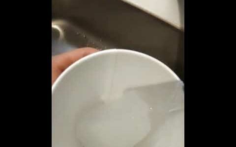 南極の氷を水に入れてみた