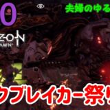 何回ロックブレイカーに負けんの？【Horizon Zero Dawn(ホライゾンゼロドーン)】#30
