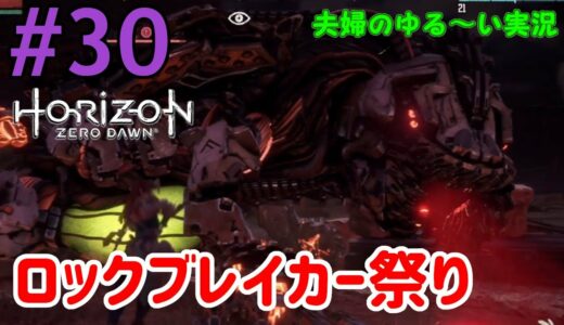何回ロックブレイカーに負けんの？【Horizon Zero Dawn(ホライゾンゼロドーン)】#30