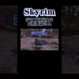 【スカイリム】「聞いたことある名前だなぁ」→本人wwwwwww【白熊寛嗣さん】#shorts #skyrim