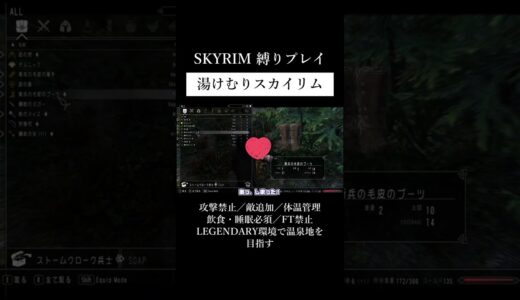 【スカイリム】丸腰一般人が盗賊・内戦を回避して温泉地を旅する【Mod】 #shorts