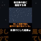 毎日家の前に路上駐車してくるので、氷漬けにした結果ｗ　#Shorts　#スカッと