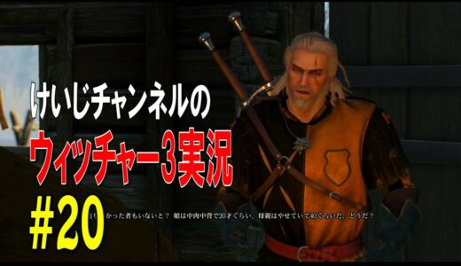 ウィッチャー3ワイルドハント攻略実況#20【家庭の事情】