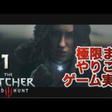 ウィッチャー3を極限までやりこんでみた part1 　　2周目　デスマーチ