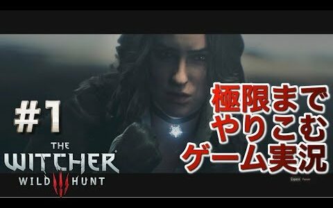 ウィッチャー3を極限までやりこんでみた part1 　　2周目　デスマーチ