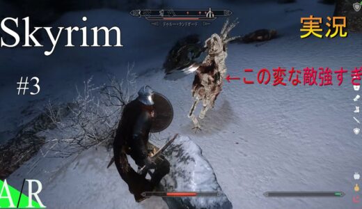 #3【Skyrim】戦闘に次ぐ戦闘。真の両手剣使いはどちら？【ゲーム実況】【MOD】