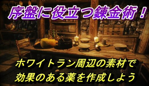 【序盤攻略】ホワイトラン周辺で採取出来る材料で役に立つ薬を錬金します。スカイリム攻略
