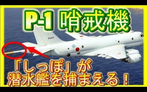P-1、P-3C対潜哨戒機の性能！空から潜水艦を探知するセンサーが凄い！