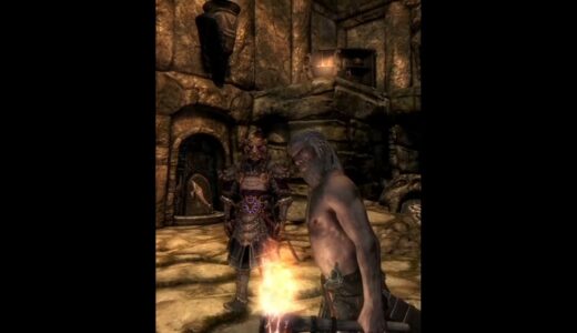 Skyrim, Torch #elderscrolls #gameplay #bethesda #skyrim #khajiit