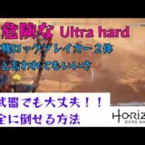 [弱武器でもいい]禍ツ機ロックブレイカーを倒せます　Horizon Zero Dawn