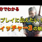 ウィッチャー３の未プレイ向け動画【THE WITCHER3 WILD HUNT】