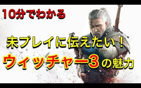 ウィッチャー３の未プレイ向け動画【THE WITCHER3 WILD HUNT】
