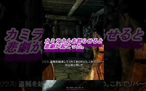 カミラさんを怒らせると悲劇が起こった。スカイリム攻略＃Shorts