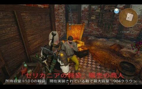 ウィッチャー3　ゼリカニアの鞍袋 浄化の霊薬 銀行 鍛治・鎧職人の位置解説（ノヴィグラド）